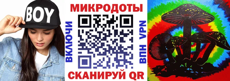 Псилоцибиновые грибы Psilocybine cubensis  где купить наркоту  Заинск 