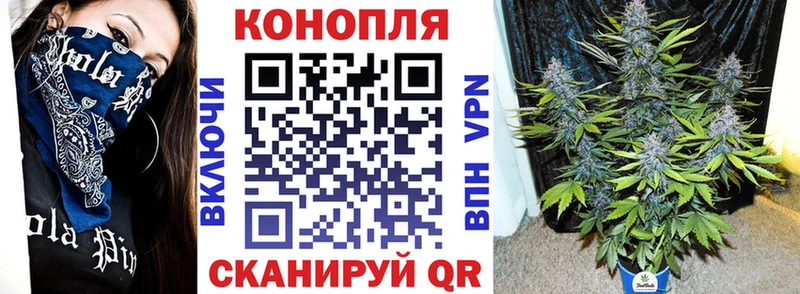 Шишки марихуана THC 21% дарнет шоп Заинск